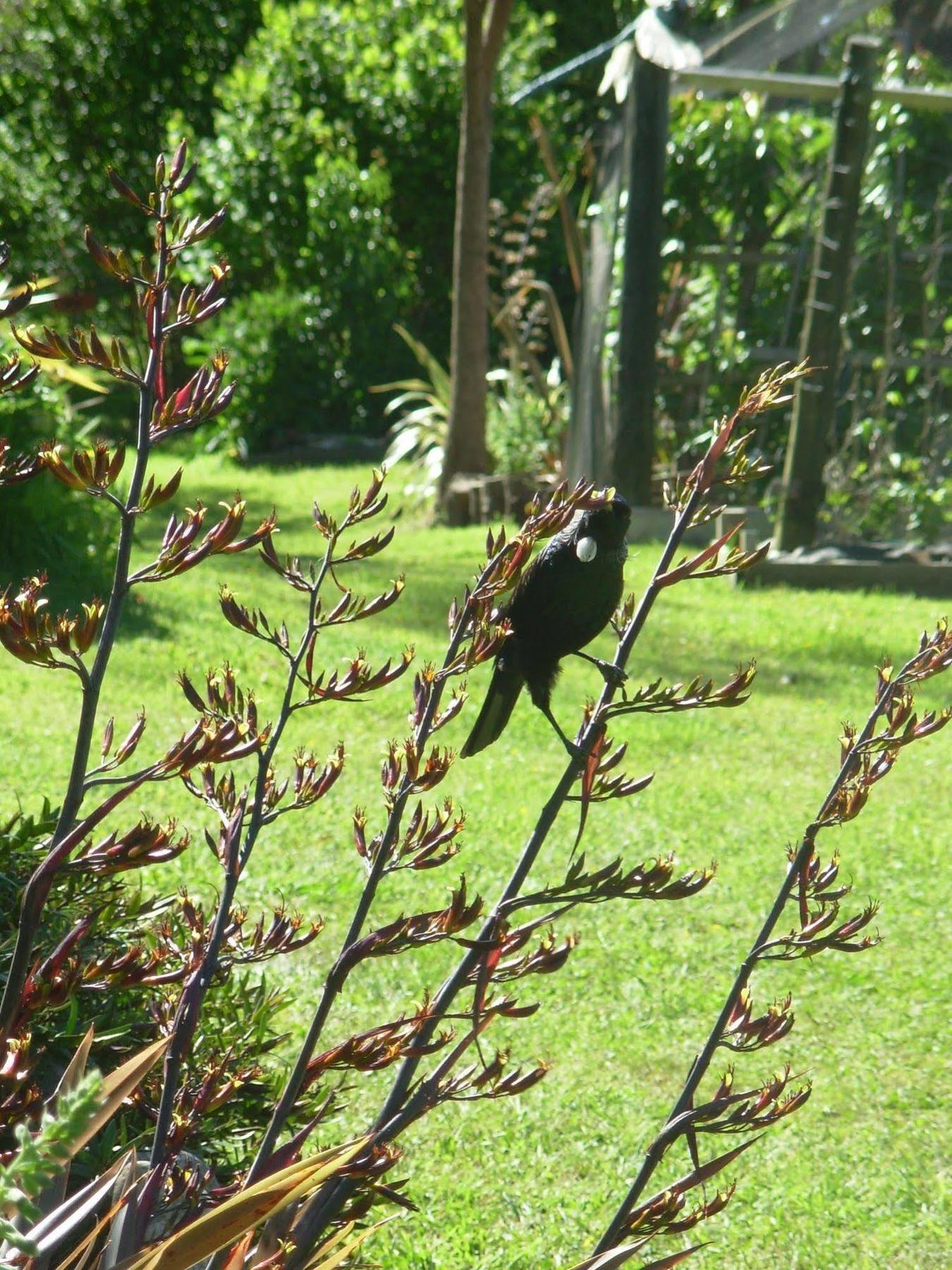 Villa Wetland View Park Anatori Exterior foto